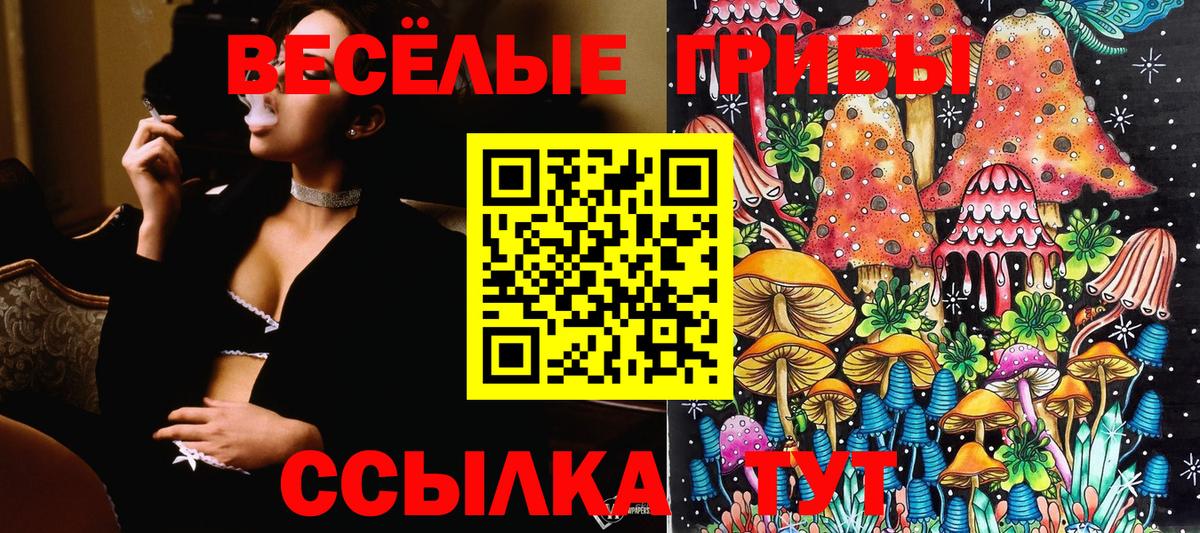 Псилоцибиновые грибы Psilocybine cubensis  Псилоцибиновые грибы мицелий  Вход с VPN  Новокуйбышевск 